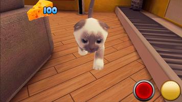 Die Katze und der Maus Screenshot 2