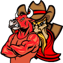 Rodeo Buffalo 3D APK