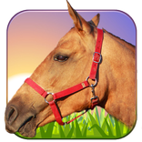 Paard Ride 3D