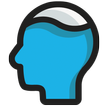 Pool Brain иконка