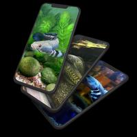 Channa Fish Wallpaper screenshot 1