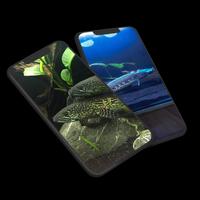 Channa Fish Wallpaper screenshot 2
