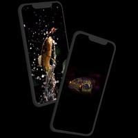 Channa Fish Wallpaper screenshot 3
