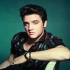 Elvis Presley Wallpaper icône