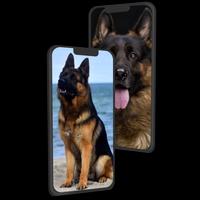 German Shepherd Wallpaper скриншот 2