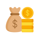 BudgetUsage APK
