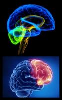Brain Massage using special ASMR sounds पोस्टर