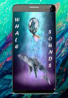 پوستر Whale Sounds Deep Underwater f