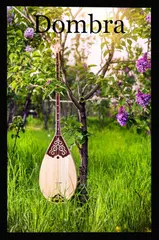 Инструментальная музыка Казахстана - Домбра APK Herunterladen