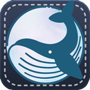 Красивое пение дельфинов и кит APK