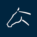 Polo Argentino APK