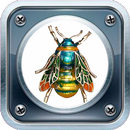 Interesting sounds of different insects APK