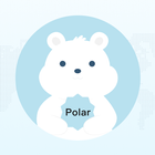 Polar Netgear icono