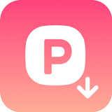 ikon Polaris PDF Compressor