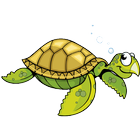 Turtle Game icon