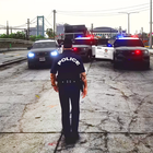 Police Simulator Car Chase 3d ikona