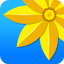 Gallery photo album manager APK
