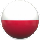 Polish TopLeague App APK