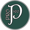Pico Art Pro