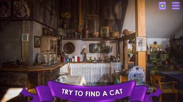 Find a Cat poster