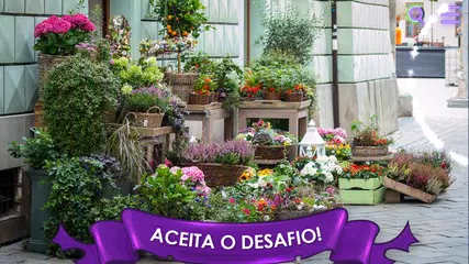 Baixar Encontre Gato-Objeto Escondido APK