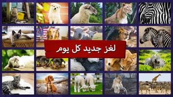 بانوراما الألغاز الخاصة بك تصوير الشاشة 3