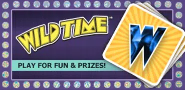 Wild Time by Michigan Lottery