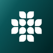 Pollin icon