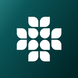 Pollin APK