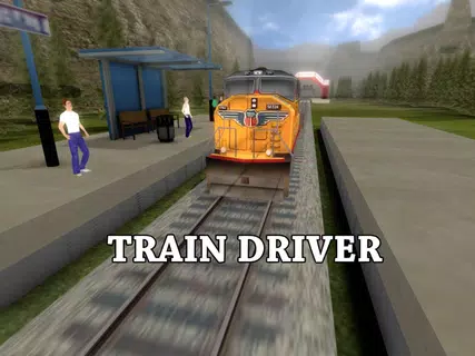 Train Driver - Train Simulator