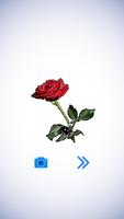 Flower Puzzle Game Poly Art 3D screenshot 2