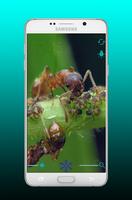 Magnifier Pro - Easy Magnifer imagem de tela 1