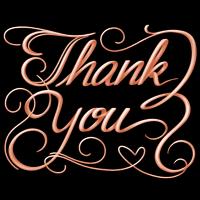 Cursive Script Rose Gold Stick screenshot 2