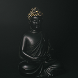 66 Câu Phật Học APK