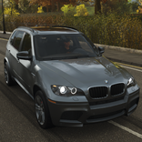 Fantastic X5M Simulator SUV