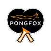 PongFox Table Tennis