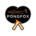 PongFox Table Tennis