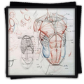 Drawing Tutorial Human Body