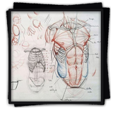 การสอนการวาดภาพ Human Body