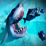 Feed And Grow Fish Adventure