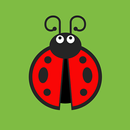 APK Ladybug!