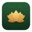 Asanyx icon