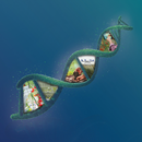 Growtech-APK