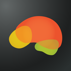 BrainHQ icon