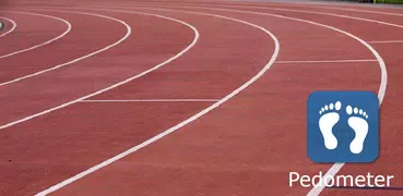 Pedometer- Check your steps
