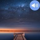 Night Sounds and Wallpapers APK