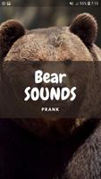 Bear Sounds and Wallpapers โปสเตอร์