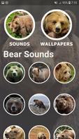 Bear Sounds and Wallpapers ภาพหน้าจอ 1