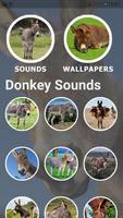 Donkey Sounds and Wallpapers capture d'écran 1