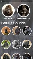 Gorilla Sounds and Wallpapers Cartaz